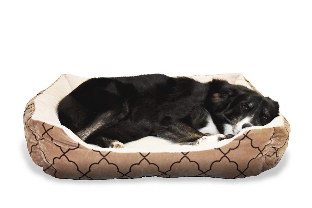 Fancy dog bed