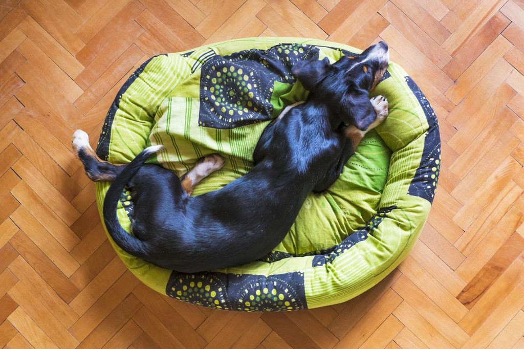 luxury dog beds