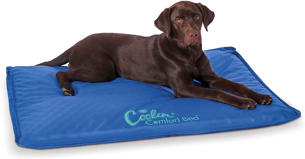 comfort bed for dogs