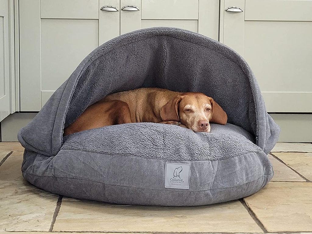 fancy dog beds