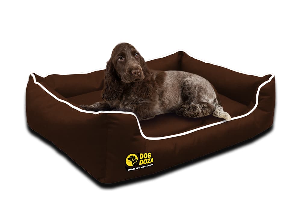 memory foam dog mattress